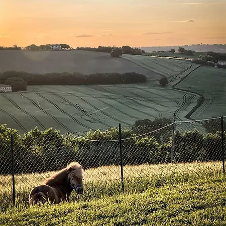 La Cilicchia Bed & Breakfast Agugliano