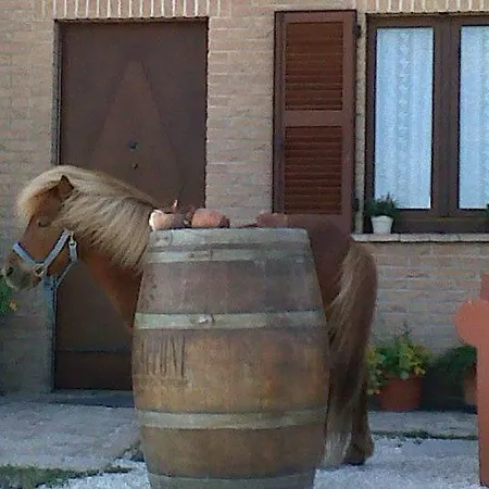 Bed & Breakfast La Cilicchia Agugliano