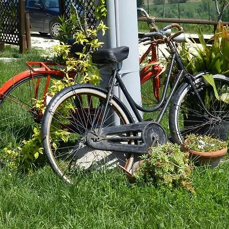 Bed & Breakfast La Cilicchia