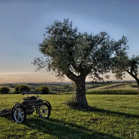 La Cilicchia